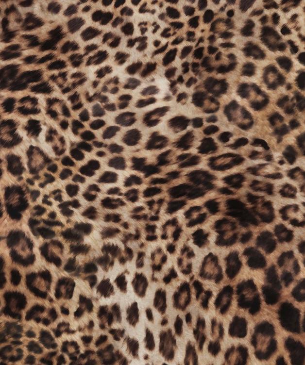 Romeo 7/8 Leggings - Clothing - Monte & Lou
